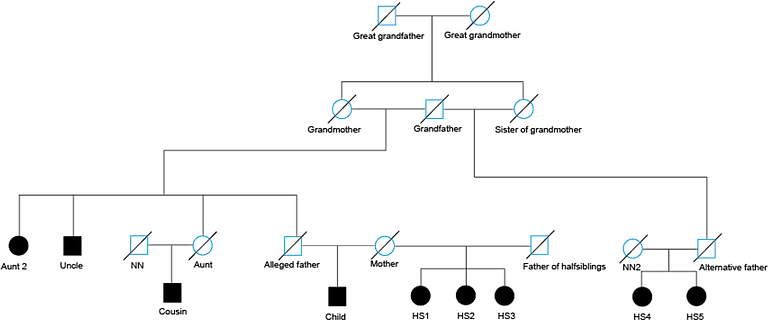 Lanzamiento de Familias 3.4.1 – Mejoras & Nuevo desarrollador